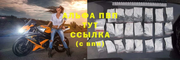дживик Баксан