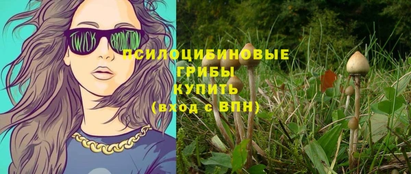 дживик Баксан