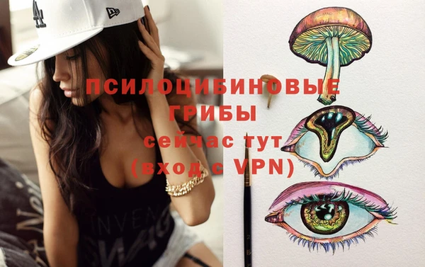 тгк Балахна